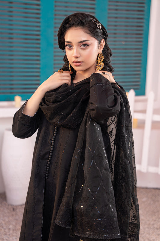 Onyx Embellished Raw Silk 3PC Suit with Organza Dupatta