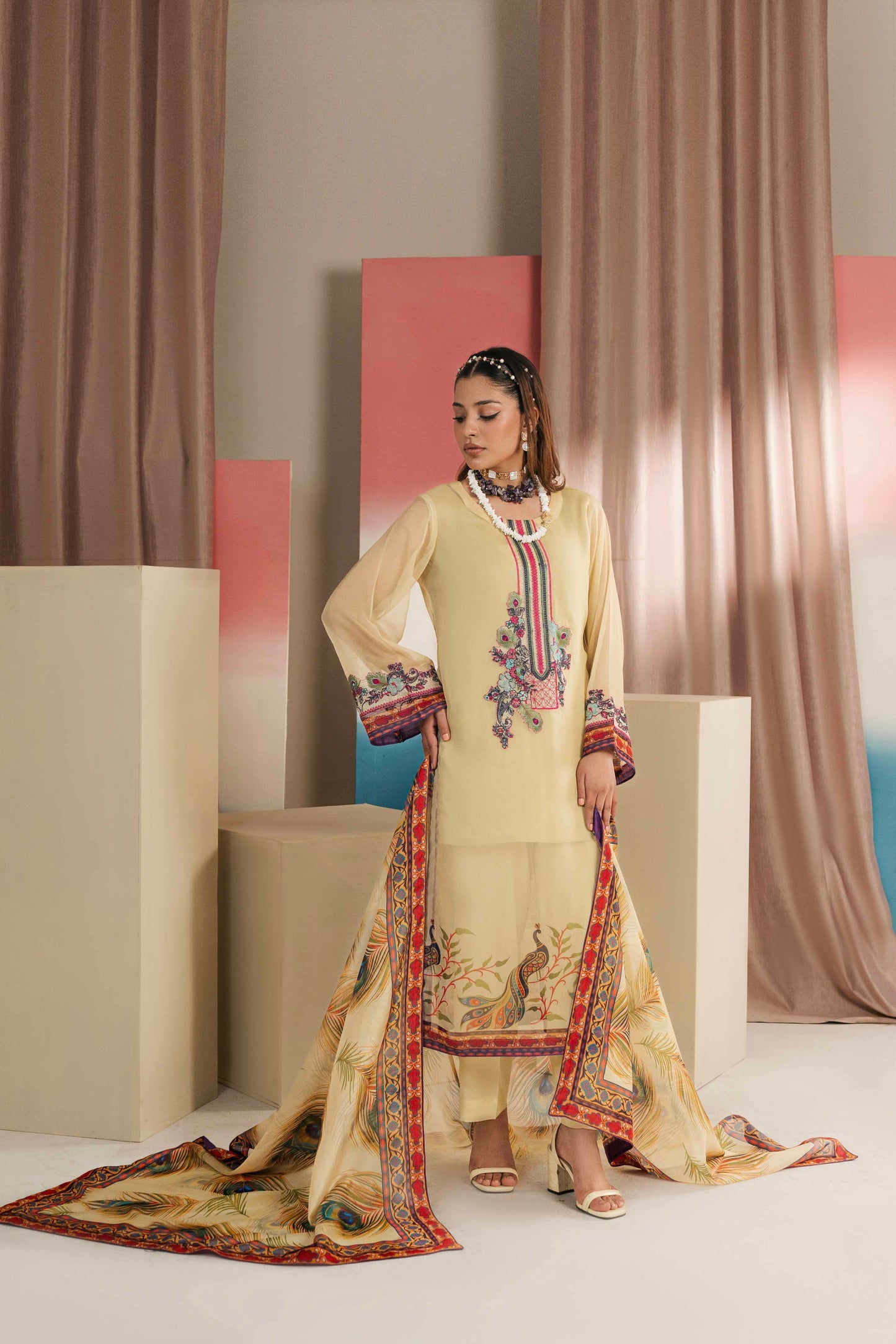 Pakistani embroidered ladies suit with intricate details