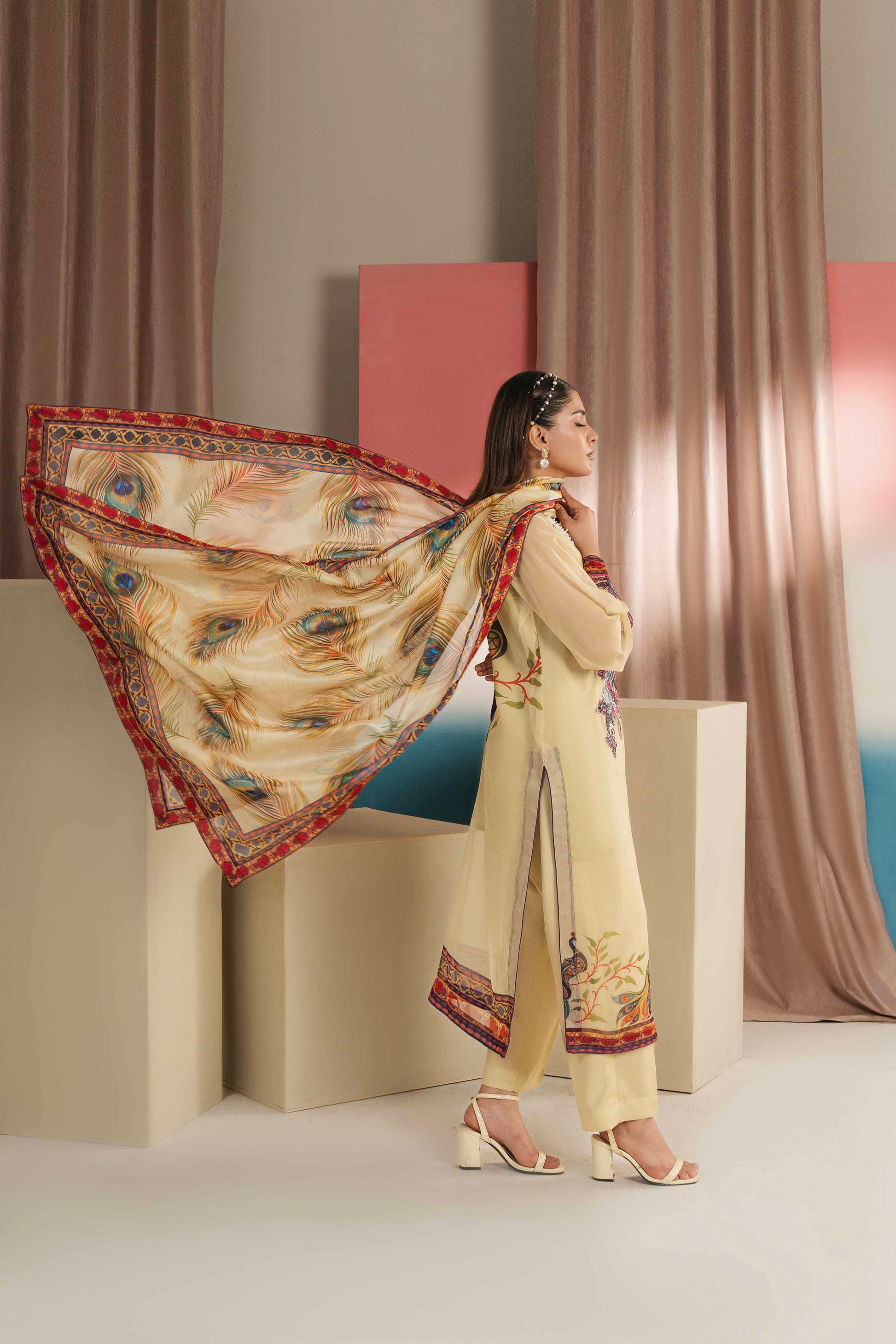 Pakistani embroidered ladies suit with intricate details