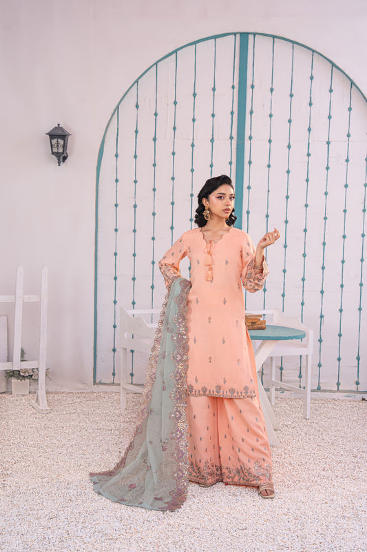 Rose Quartz Embellished Raw Silk 3PC Suit with Organza Dupatta