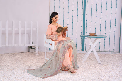 Rose Quartz Embellished Raw Silk 3PC Suit with Organza Dupatta