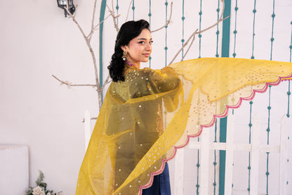 Sapphire Embellished Raw Silk 3PC Suit with Organza Dupatta