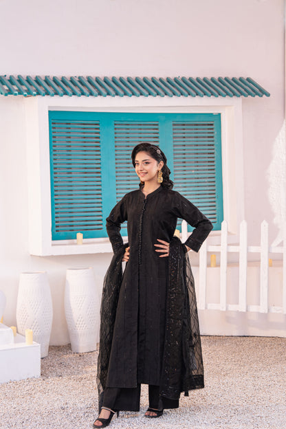Onyx Embellished Raw Silk 3PC Suit with Organza Dupatta