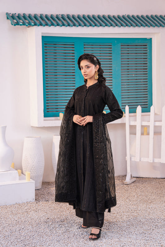 Onyx Embellished Raw Silk 3PC Suit with Organza Dupatta
