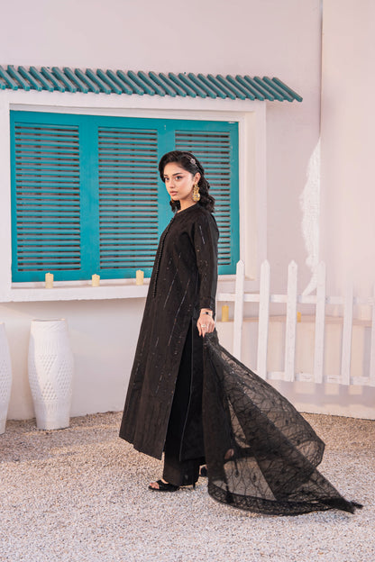 Onyx Embellished Raw Silk 3PC Suit with Organza Dupatta