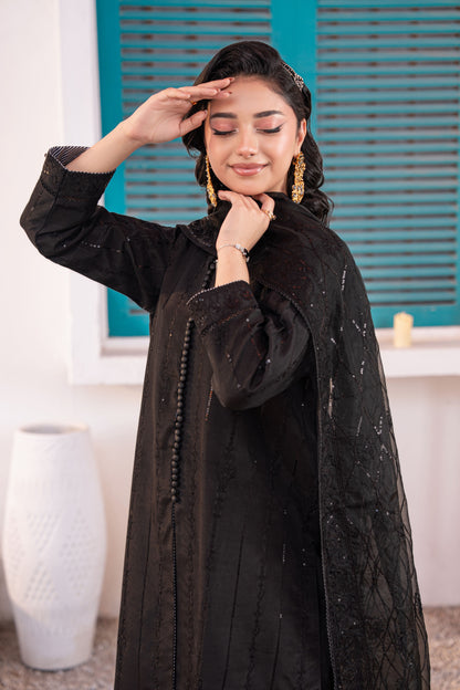 Onyx Embellished Raw Silk 3PC Suit with Organza Dupatta