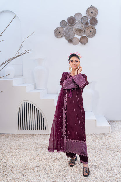 Amethyst Embellished Raw Silk 3PC Suit with Organza Dupatta