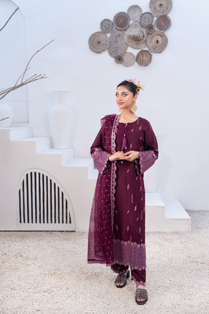 Amethyst Embellished Raw Silk 3PC Suit with Organza Dupatta