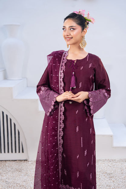 Amethyst Embellished Raw Silk 3PC Suit with Organza Dupatta
