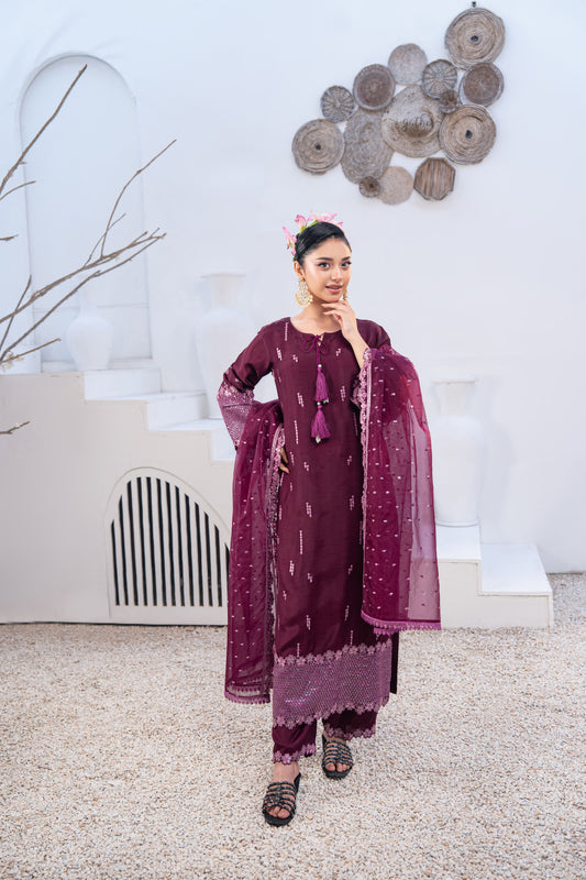 Amethyst Embellished Raw Silk 3PC Suit with Organza Dupatta