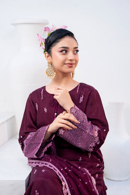 Amethyst Embellished Raw Silk 3PC Suit with Organza Dupatta