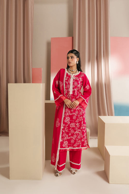 Elegant embroidered ladies suit in soft fabric