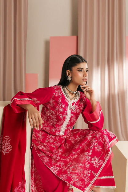 Elegant embroidered ladies suit in soft fabric

